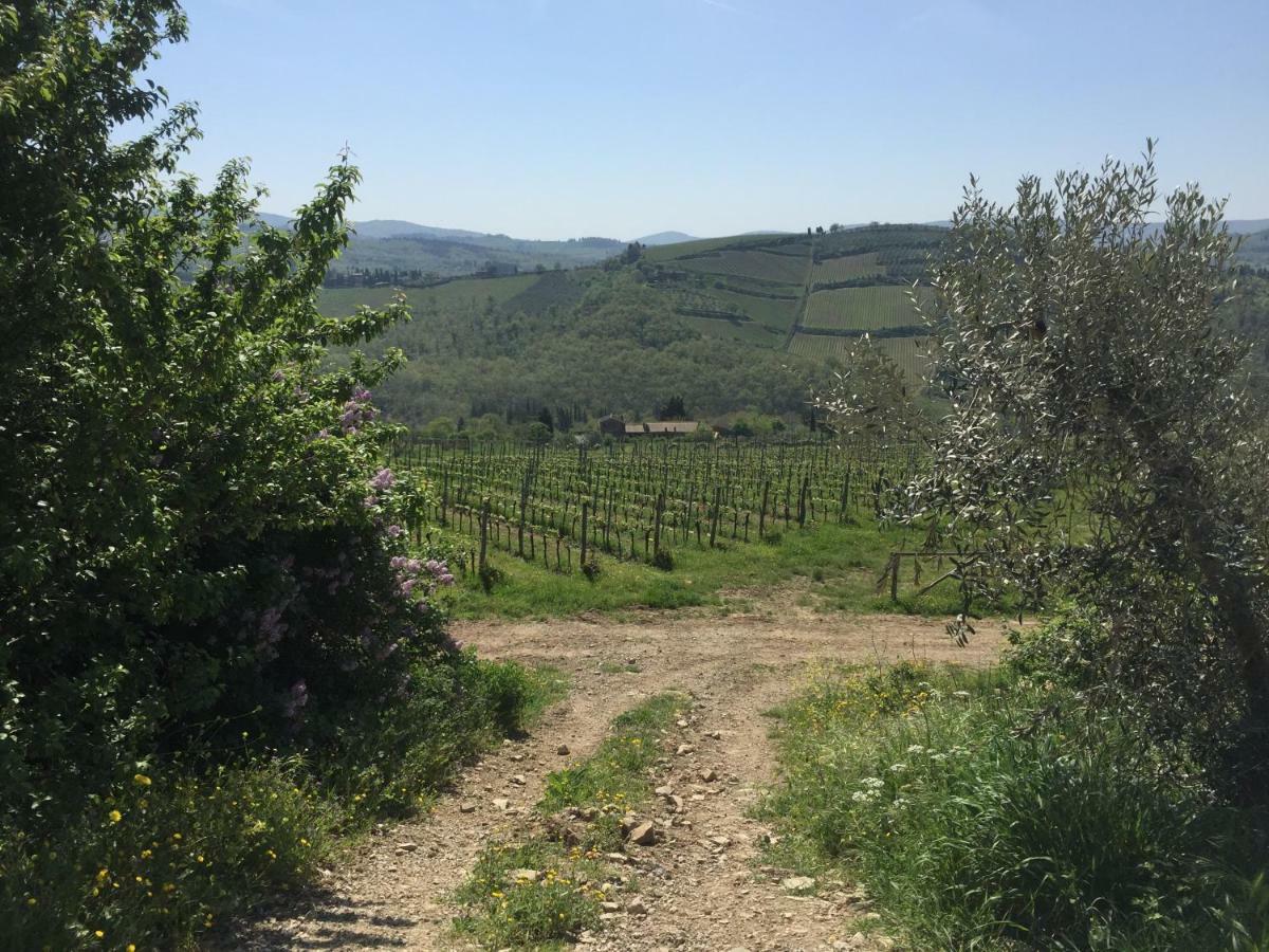 Casa Ana Apartment Greve in Chianti Exterior photo