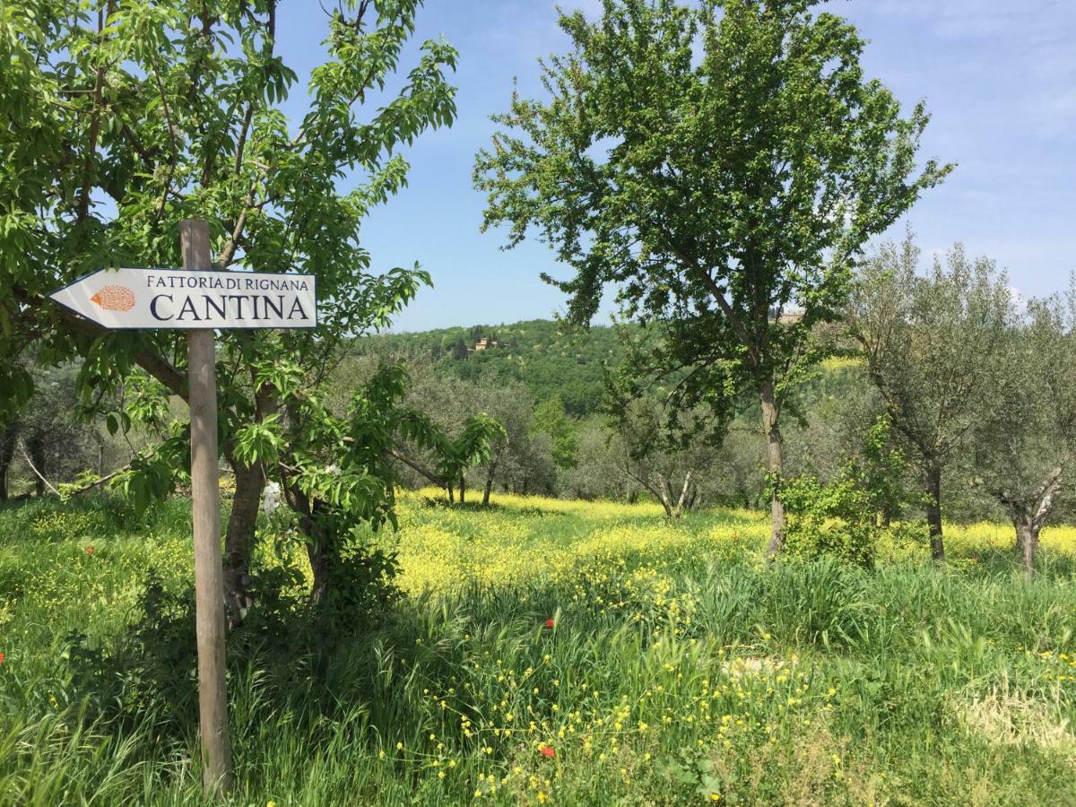 Casa Ana Apartment Greve in Chianti Exterior photo